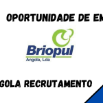 BRIOPUL ANGOLA, LDA