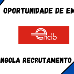 Encib